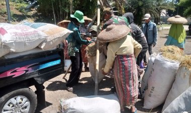 Babinsa Koramil 2212/Tegalbuleud Dampingi Kegiatan Ketahanan Pangan di Desa Bangbayang