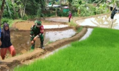 Babinsa Koramil 2206/Parakansalak Laksanakan Pendampingan Ketahanan Pangan