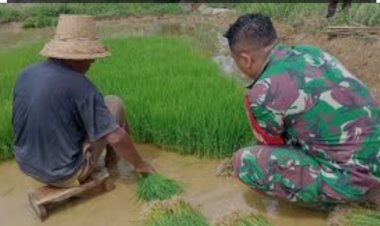 Babinsa Koramil 2212/Tegal Buleud Laksanakan Pendampingan Ketahanan Pangan