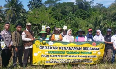 Babinsa Koramil 2211/Sagaranten Dukung Ketahanan Pangan Lewat Gerakan Tanam Jagung