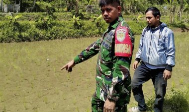 Babinsa Koramil 2212/Tegal Buleud Laksanakan Pendampingan Ketahanan Pangan di Desa Sirna Mekar
