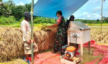 Babinsa Koramil 2212/Tegalbuleud Dampingi Kelompok Tani dalam Kegiatan Hanpangan