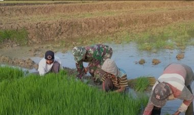 Babinsa Koramil 2212/Tegalbuleud Laksanakan Pendampingan Poktan di wilayah Binaan