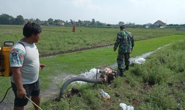 Babinsa Koramil 2212/Tegalbuleud Dampingi Petugas PPL Laksanakan Penyuluhan Kelompok Tani﻿