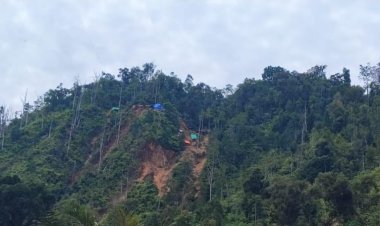 Tambang Ilegal Ditertibkan, Ratusan Hektare Lahan Kembali ke Negara