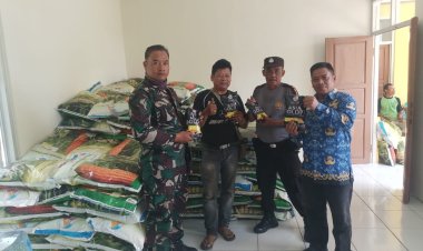 Babinsa Koramil 2210/Pabuaran Dampingi Penyaluran Benih Jagung