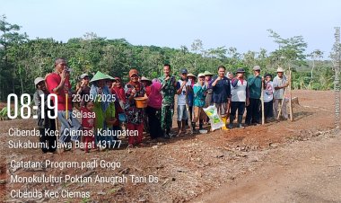 Babinsa Koramil 2215/Ciemas Dukung Ketahanan Pangan Lewat Penanaman Padi Gogo