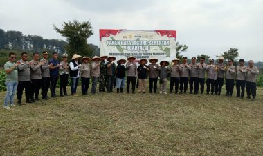 Danramil 2204/Cikidang Hadiri Panen Raya Jagung Serentak Kuartal III Tahun 2025