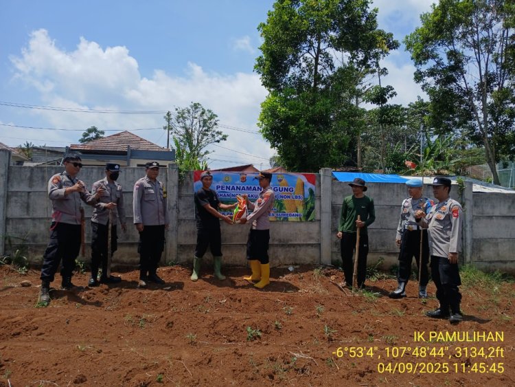 Kapolsek Pamulihan Tanam Jagung untuk Ketahanan Pangan dan Kesejahteraan Masyarakat