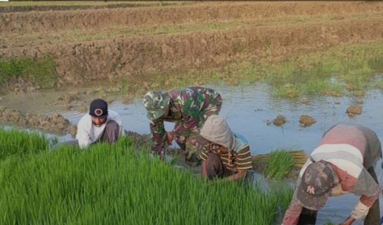 Babinsa Koramil 2212/Tegalbuleud Laksanakan Pendampingan Poktan di wilayah Binaan