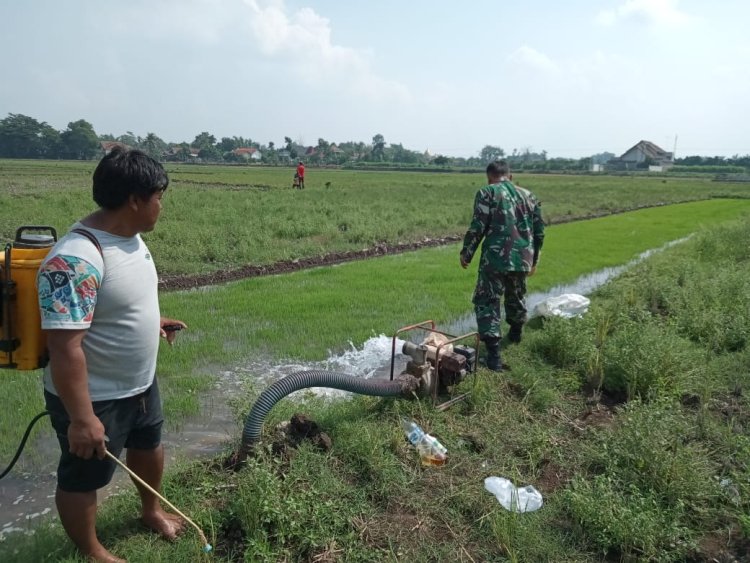 Babinsa Koramil 2212/Tegalbuleud Dampingi Petugas PPL Laksanakan Penyuluhan Kelompok Tani﻿