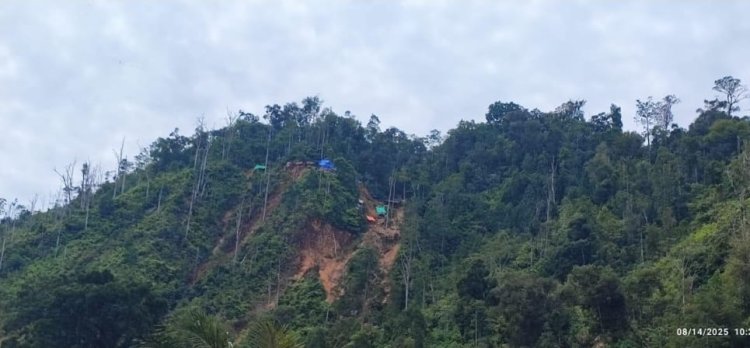 Tambang Ilegal Ditertibkan, Ratusan Hektare Lahan Kembali ke Negara