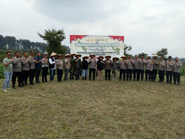 Danramil 2204/Cikidang Hadiri Panen Raya Jagung Serentak Kuartal III Tahun 2025