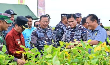 KASAL TINJAU LANGSUNG LAHAN KETAHANAN PANGAN TNI AL DI LAMPUNG