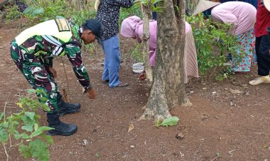 Babinsa Koramil 2212/Tegalbuleud Dampingi Kegiatan Hanpangan di Desa Rambay