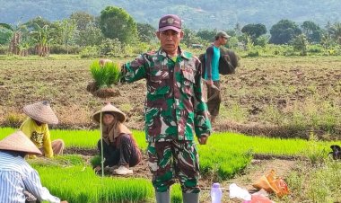 Babinsa Koramil 2215/Ciemas Dukung Program Ketahanan Pangan di Desa Ciwaru