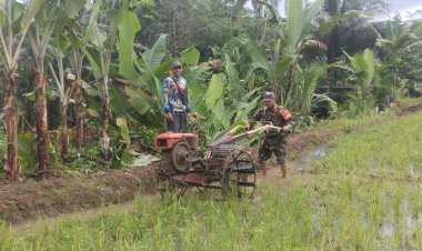 Babinsa Koramil 2211/Sagaranten Dampingi Kelompok Tani Ciwaru dalam Kegiatan Ketahanan Pangan