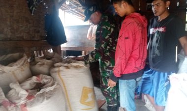 Babinsa Koramil 2212/Tegalbuleud Dampingi Kelompok Tani dalam Kegiatan Ketahanan Pangan