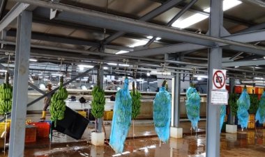 Pekerja PT Panyindangan Sambut Gembira Rencana Kenaikan Upah Sesuai PP Ketenagakerjaan