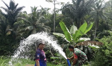 Babinsa Koramil 2212/Tegalbuleud Dampingi Kegiatan Ketahanan Pangan di Desa Sirnamekar