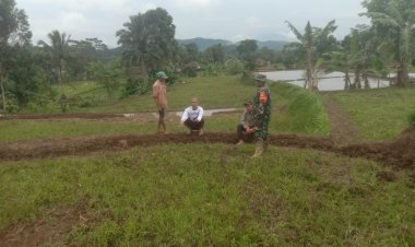 Babinsa Koramil 2210/Pabuaran Dampingi Kegiatan Hanpangan Poktan di Desa Sirnasari