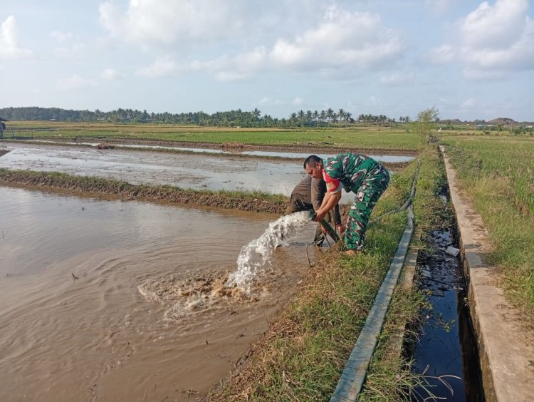 Babinsa Koramil 2212/Tegalbuleud Dampingi Petani Wujudkan Ketahanan Pangan