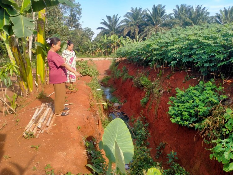 Warga Resah! Galian PTPN di Dekat Rumah Warga Berpotensi Telan Korban Anak-Anak
