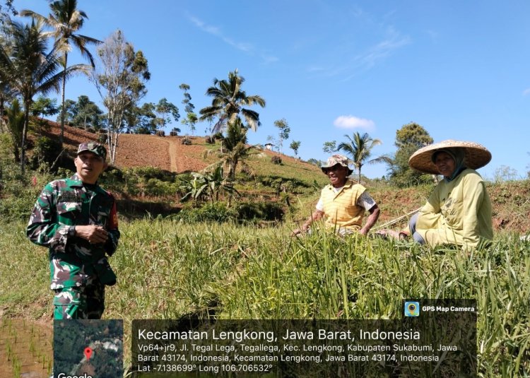 Babinsa Koramil 2209/Lengkong Dampingi Poktan dalam Kegiatan Ketahanan Pangan