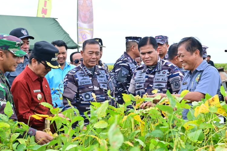 KASAL TINJAU LANGSUNG LAHAN KETAHANAN PANGAN TNI AL DI LAMPUNG