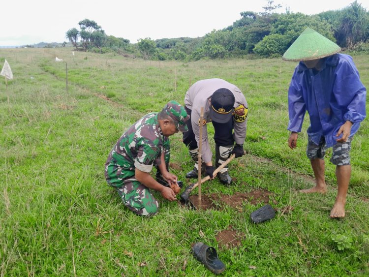 BABINSA KORAMIL 2214/SURADE LAKSANAKAN KEGIATAN PENGHIJAUAN DI WILAYAH CIBITUNG