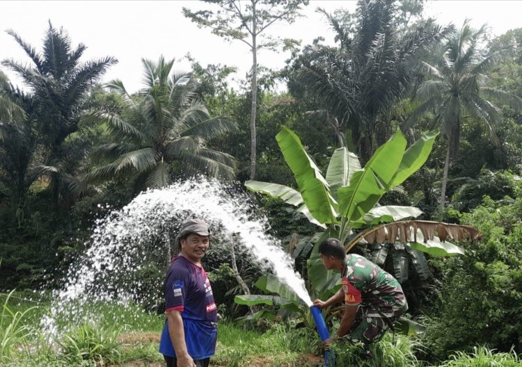 Babinsa Koramil 2212/Tegalbuleud Dampingi Kegiatan Ketahanan Pangan di Desa Sirnamekar