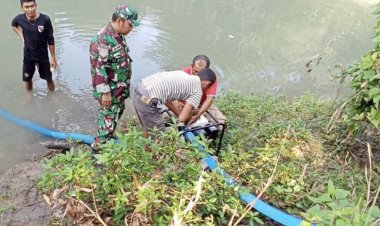 Babinsa Koramil 2212/Tegalbuleud Dampingi Kelompok Tani Dalam Program Ketahanan Pangan