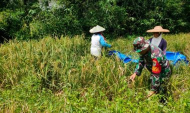 Babinsa Koramil 2209/Lengkong Dampingi Kegiatan Ketahanan Pangan di Desa Cilangkap