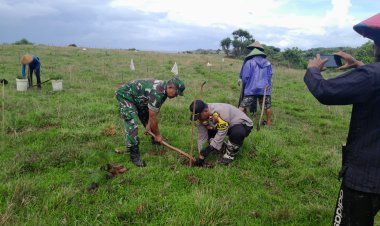 Kegiatan Penanaman Pohon Program Penghijauan oleh Babinsa Koramil 2214/Surade