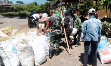 Babinsa Koramil 2212/Tegalbuleud Dampingi PPL dalam Kegiatan Ketahanan Pangan