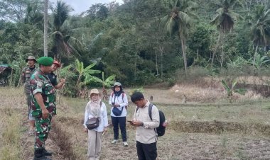 Babinsa Koramil 2212/Tegalbuleud Dampingi PPL Laksanakan Kegiatan Hanpangan di Desa Calingcing