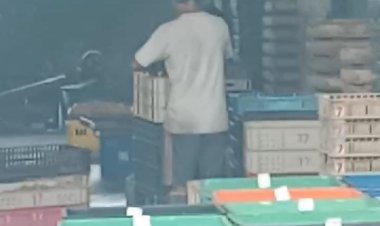 Izin Lingkungan dan Pajak Pabrik Tahu Dipertanyakan, Aktivis Desak Audit Transparan