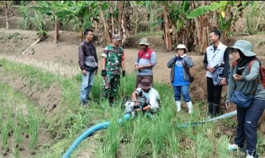 Pendampingan Ketahanan Pangan oleh Babinsa Koramil 2209/Lengkong di Desa Langkapjaya