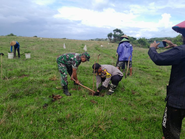 Kegiatan Penanaman Pohon Program Penghijauan oleh Babinsa Koramil 2214/Surade