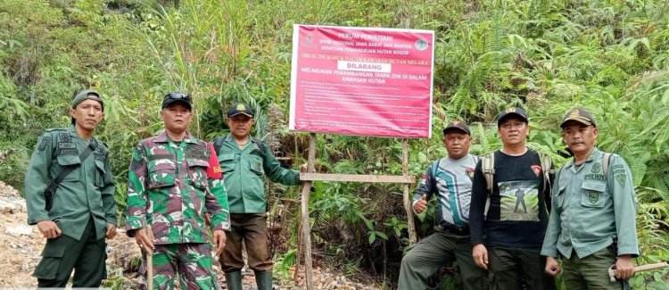 Perrhutani BKPH Jasinga Tindak Cepat Aktivitas Penambangan Emas Ilegal di Cirangsad