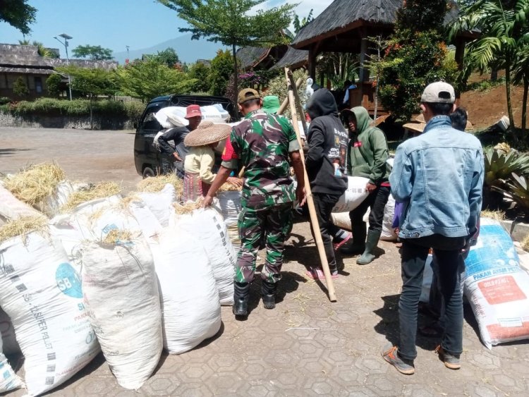 Babinsa Koramil 2212/Tegalbuleud Dampingi PPL dalam Kegiatan Ketahanan Pangan