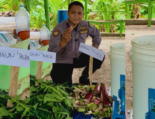 Kodim 0622/Kabupaten Sukabumi Manfaatkan Limbah Pasar Menjadi Pakan Fermentasi Ayam Kampung