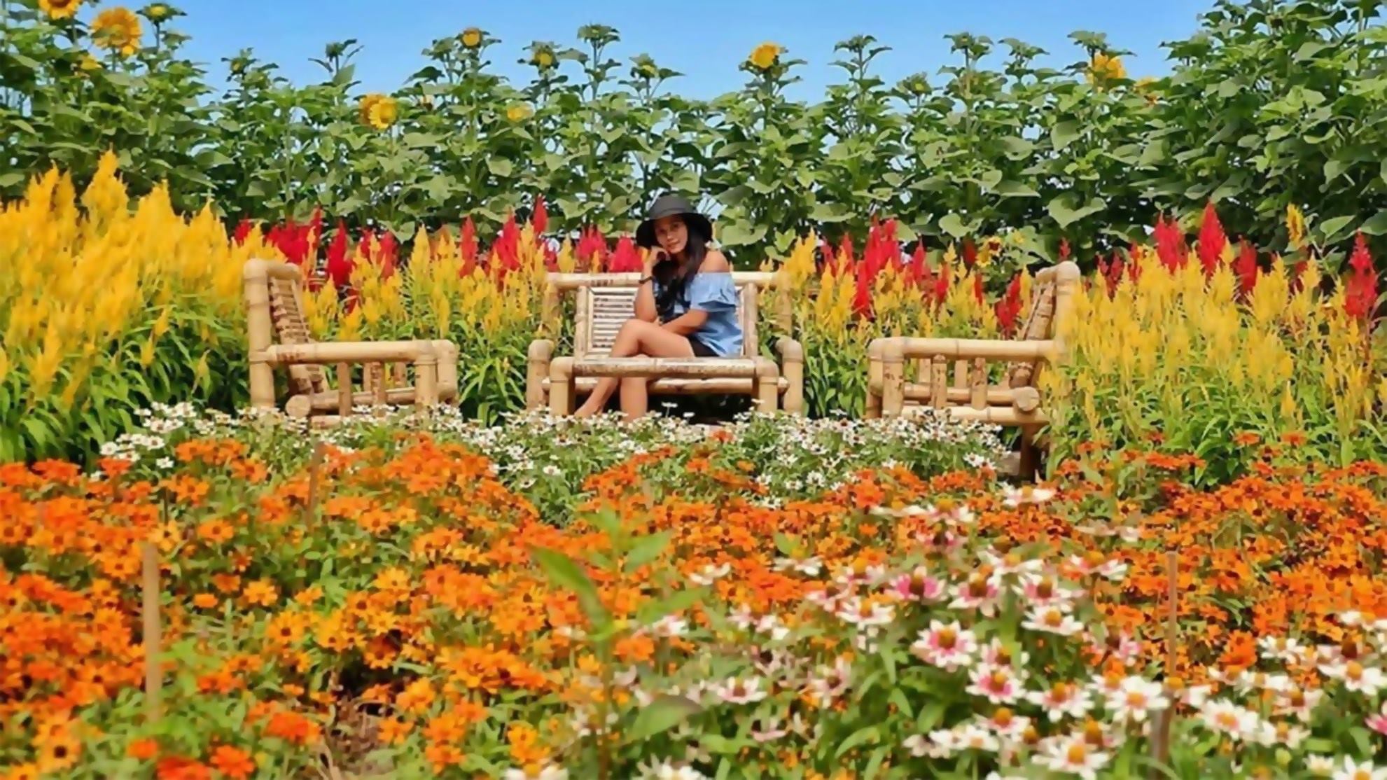 10 Tempat Wisata Instagramable di Semarang yang Kekinian tempat wisata di semarang terbaru