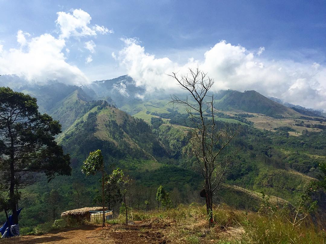 10 Bukit Terbaik di Jawa Timur untuk Menikmati Sore