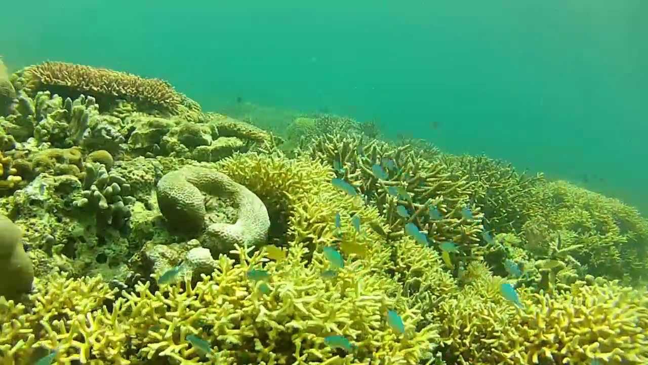 10 Tempat Wisata di Madura yang Sangat Menakjubkan untuk Dikunjungi 10 Tempat Wisata di Madura yang Sangat Menakjubkan untuk Dikunjungi