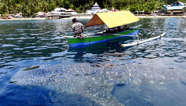 4 Tujuan Wisata Sumbawa dengan Pemandangan Terbaik Desa Labuhan Jambu