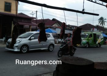Foto dagangan babi hutan di jalan SKI Pematangsiantar, Selasa (26/1/2021).
