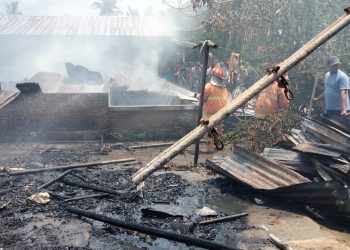 Petugas damkar saat berusaha memadamkan  kobaran api.