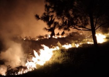 Api saat membakar 20 hektare lahan di kawasan bukit Pusuh Buhit, Pangururan, Samosir, Danau Toba. (Foto: istimewa)