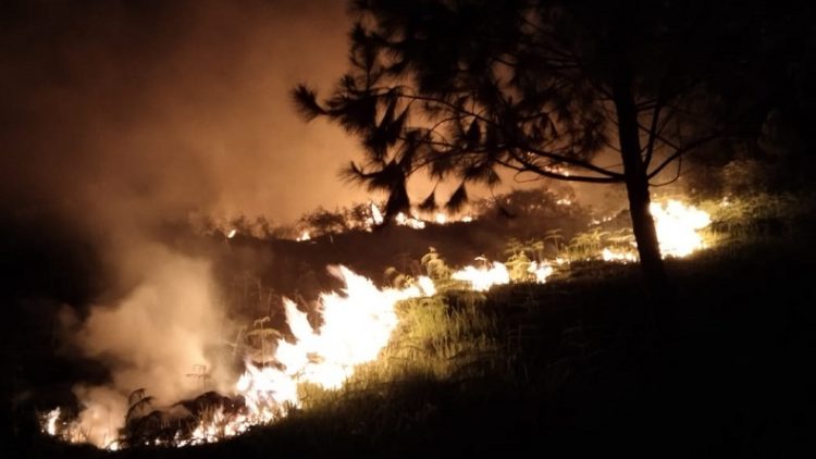 Api saat membakar 20 hektare lahan di kawasan bukit Pusuh Buhit, Pangururan, Samosir, Danau Toba. (Foto: istimewa)
